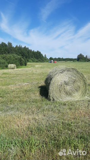 Сено в рулонах 2023