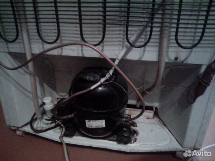 Холодильник Чинар