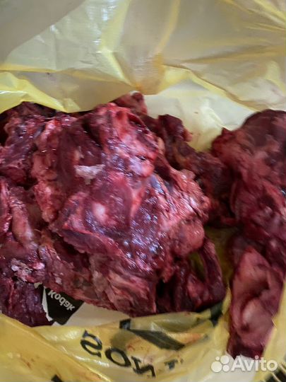 Мясная обрезь для собак