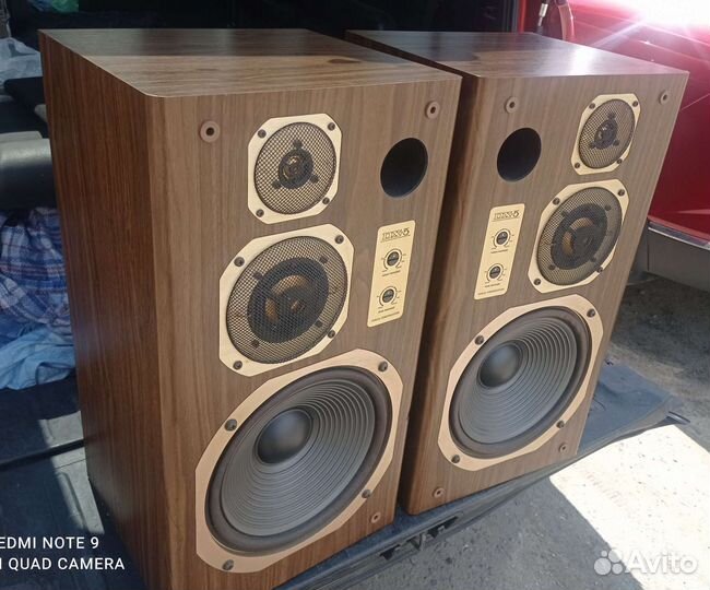 Колонки Coral DX-5