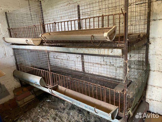 Клетки для кур бройлеров