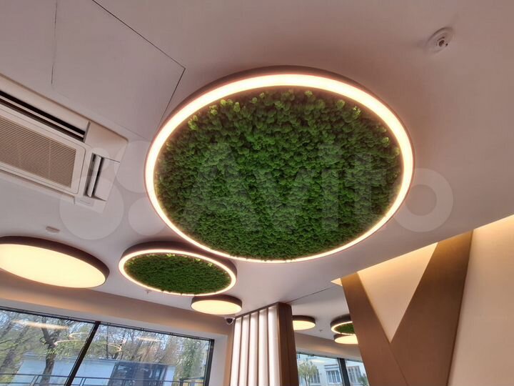 Здание, 1651 м²