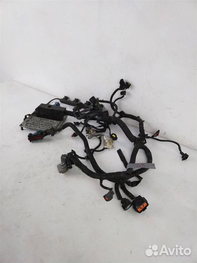 Проводка (коса) форд фокус 2 2008-2011