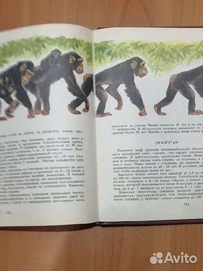 О редких животных мира. И П Сосновский