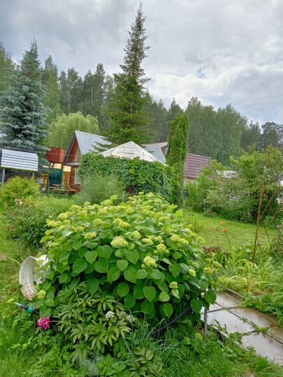 Дача 46 м² на участке 6 сот.