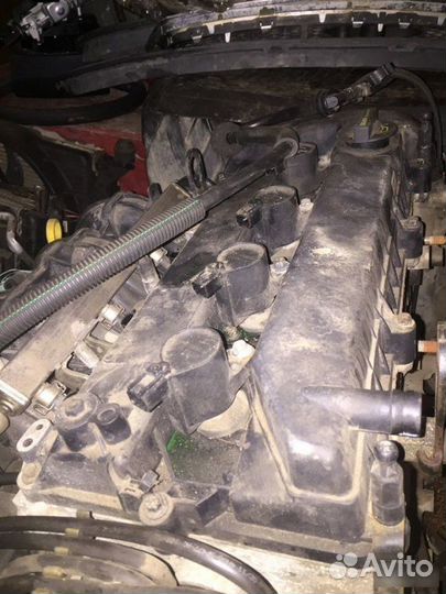 Катушки зажигания Ford Focus 2