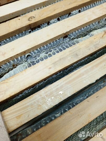 Мёд в сотах в рамке