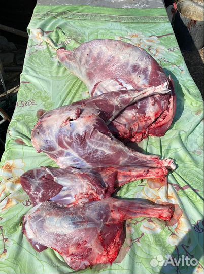 Мясо баранина