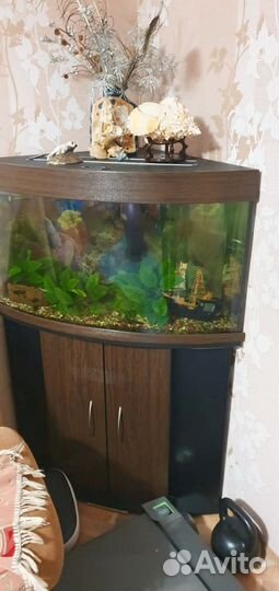Аквариум с тумбой 120 литров