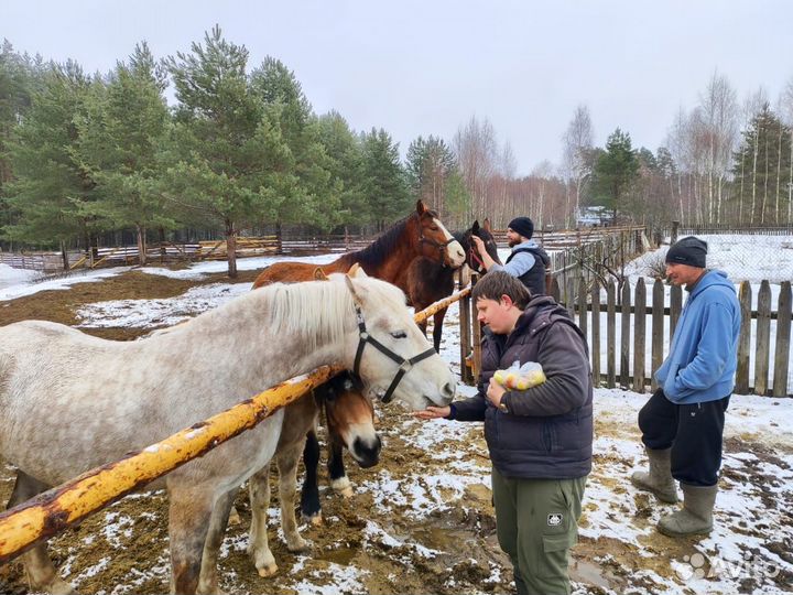Отдых на природе / Рыбалка