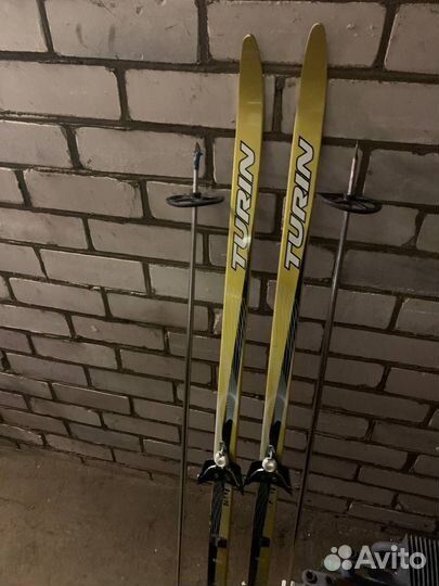 Беговые лыжи