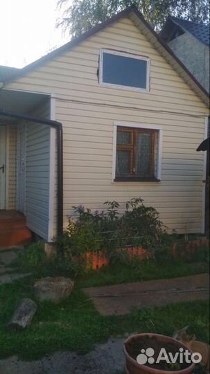 Зоогостиница (передержка) для кошек и собак