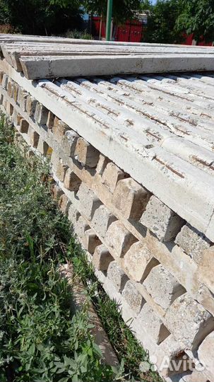 Кол виноградный