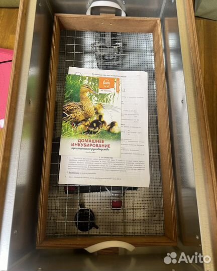 Инкубатор блиц Байкал, 72 цифровой