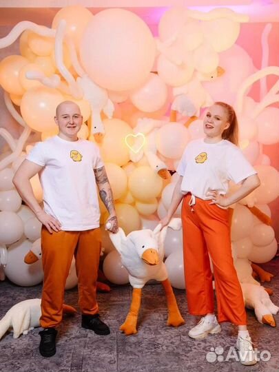 Аниматоры Майкоп