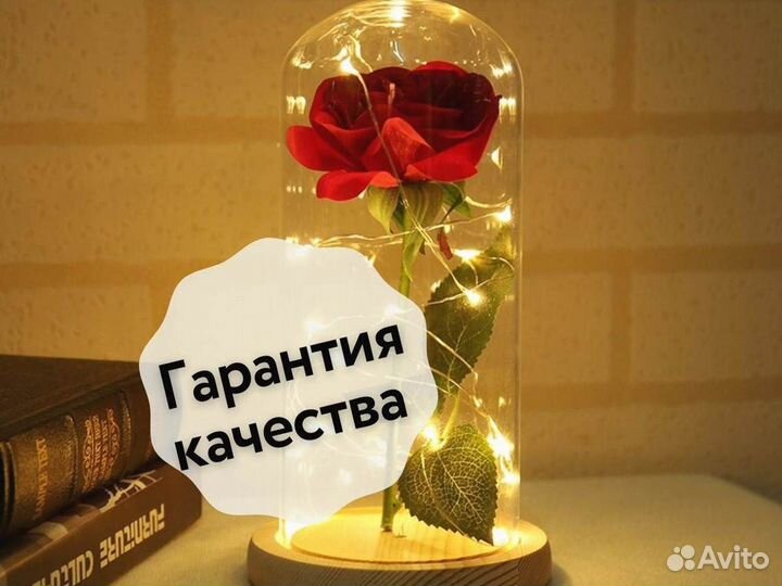 Роза в колбе. Живая