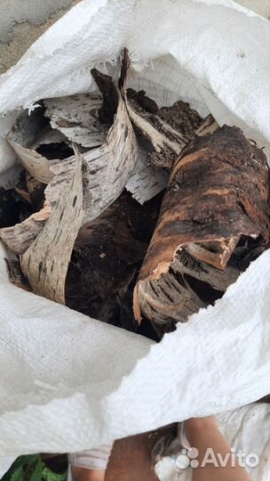 Береста для розжига