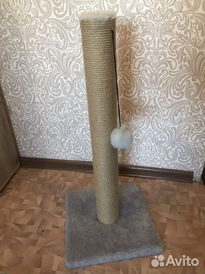 Когтеточка