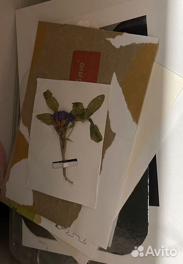 Авторские открытки