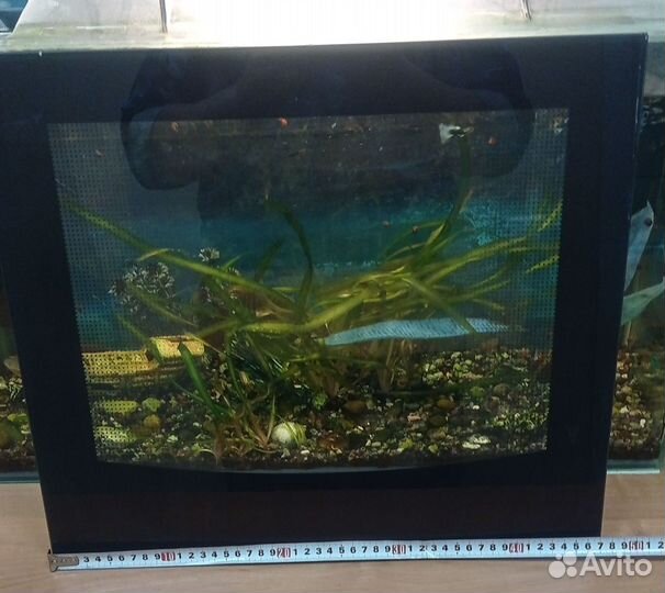 Стекло для духового шкафа