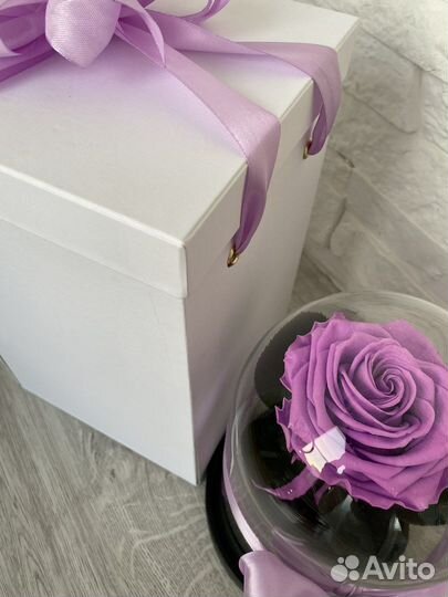 Живая роза в колбе