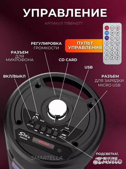 Колонка с микрофоном