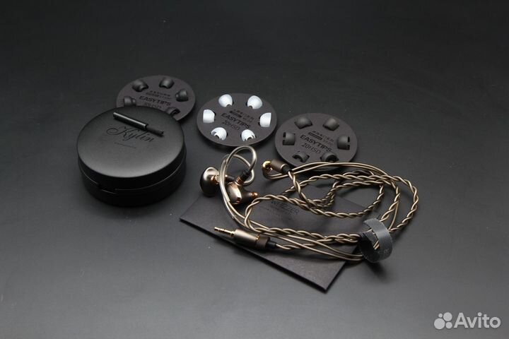 Динамические наушники Whizzer HE10