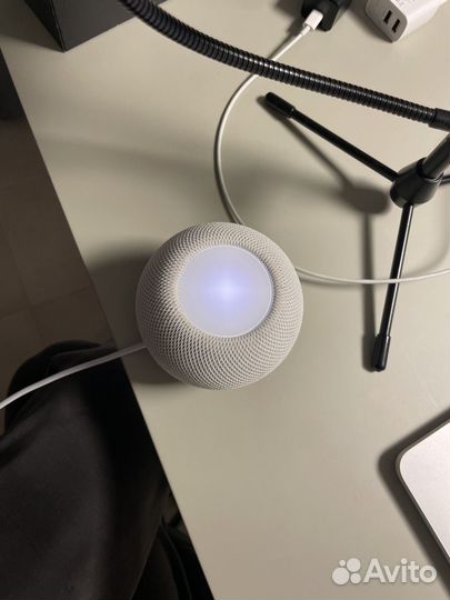 Apple homepod mini
