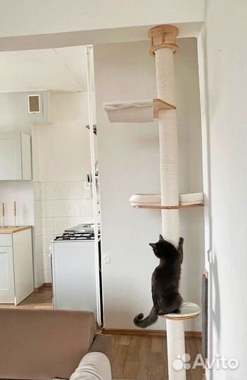 Когтеточка домик для кошки люкс (топ 2023)