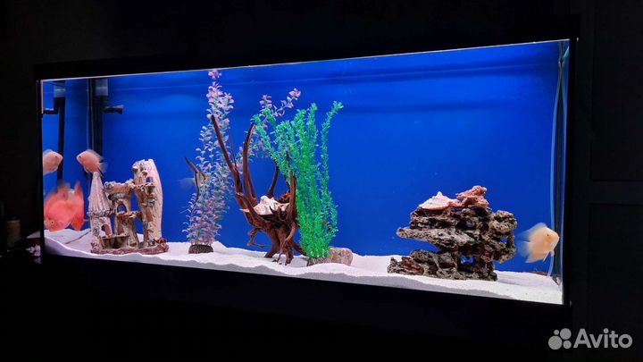 Продам аквариум 315 литров