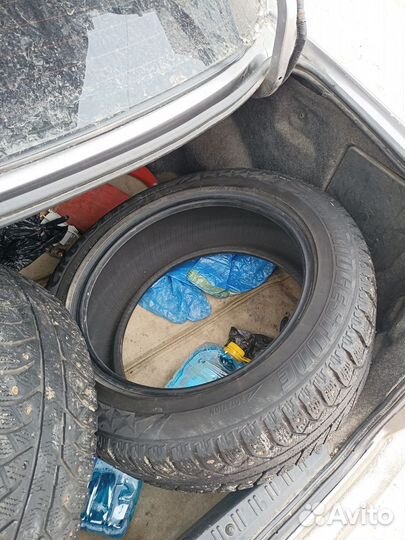 Accelera Accelera Summer 5.00/10 R12