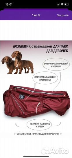 Дождевик для собаки