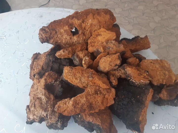 Березовый гриб чага куски