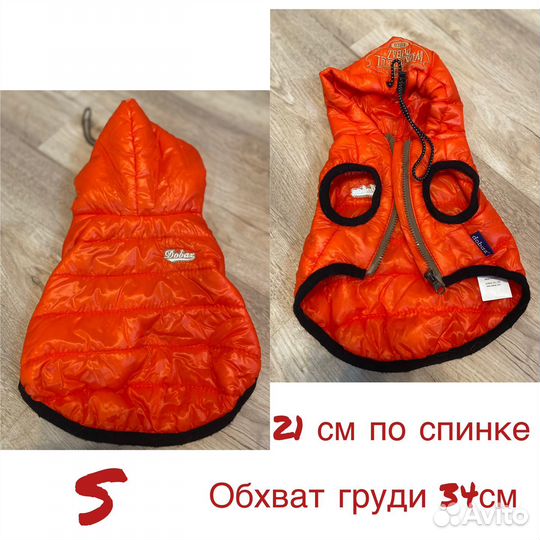 Одежда для собак