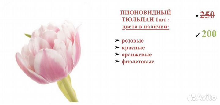 Тюльпаны к 8 марта оптом