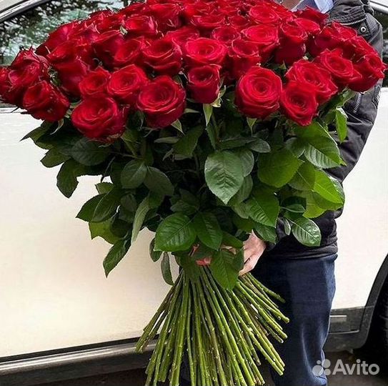 Розы Букеты Цветы Розы 31 101 151 201 Доставка