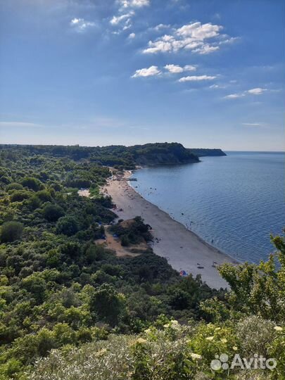 Куршская коса экскурсия