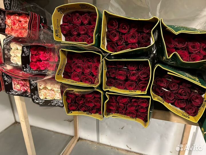 Цветы Оптом, розы, доставка цветов