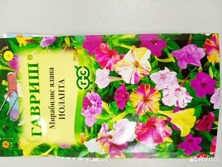 Цветы однолетки рассада