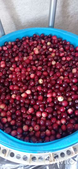 Продукты питания