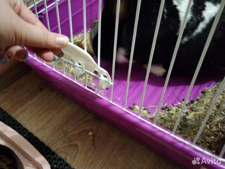 Клетка для грызунов