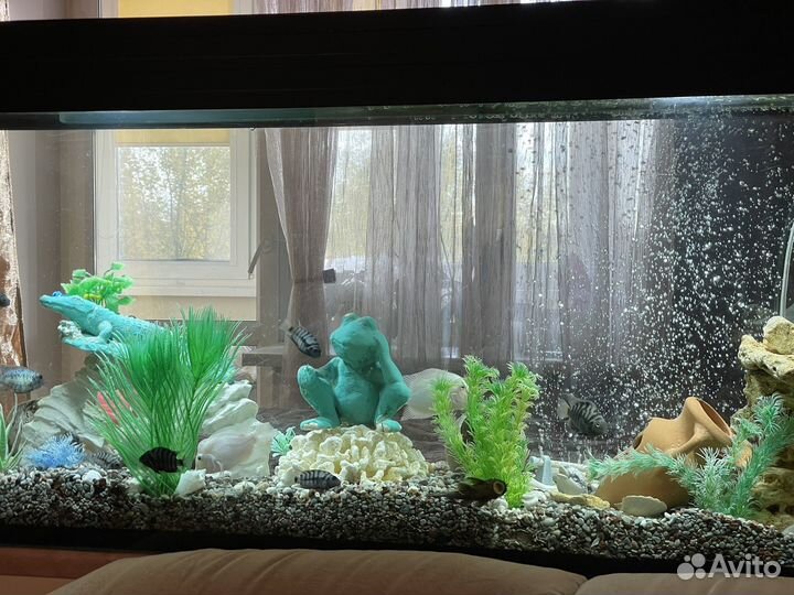 Аквариум со всеми принадлежностями и рыбками