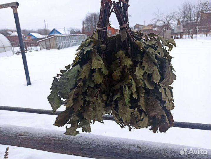 Березовые веники