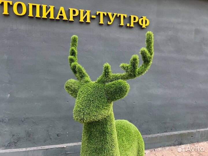 Топиари Топиарные фигуры Садовые фигуры