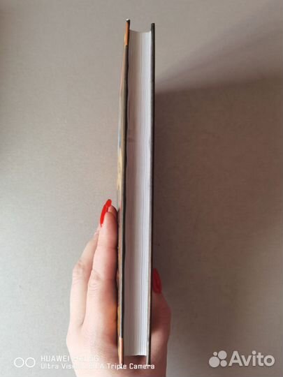 Коты воители голоса в ночи