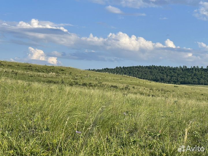 Земельный участок вокруг озера в Хакасии