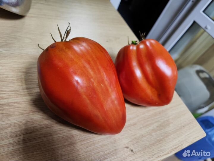 Продам семена томатов