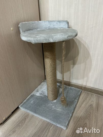 Когтеточка