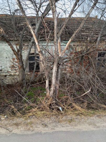 Участок 1,28 га (ИЖС)