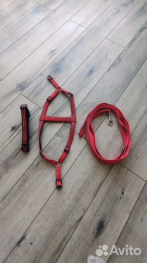 Амуниция для собак